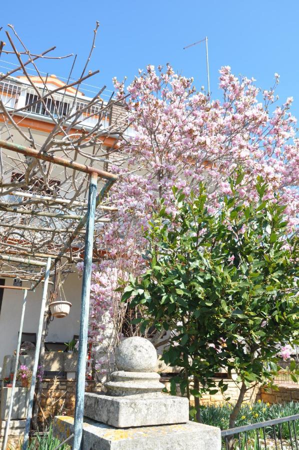 Apartman Mirna Rovigno Esterno foto