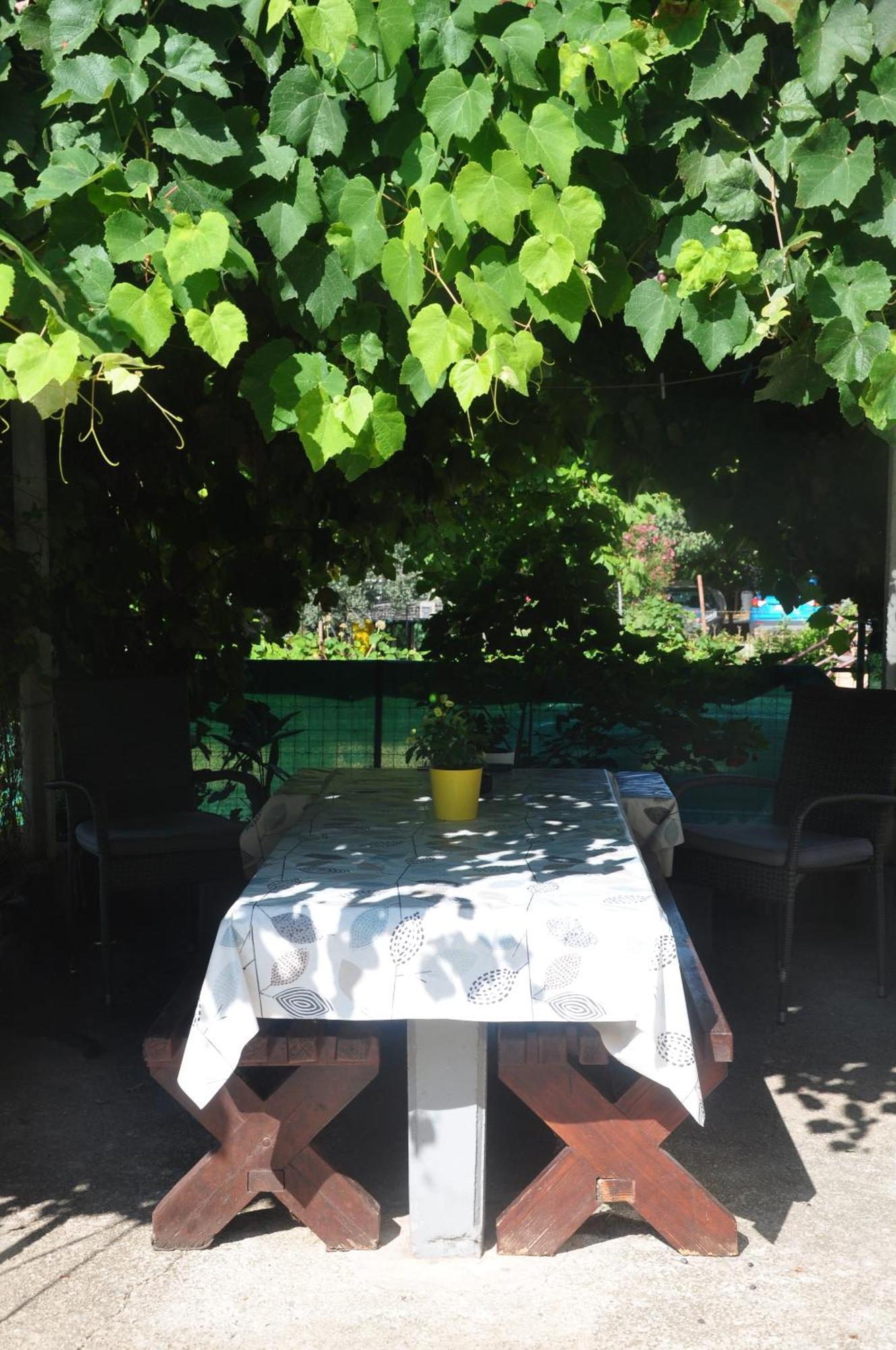 Apartman Mirna Rovigno Esterno foto